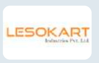 lesokart